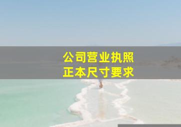 公司营业执照正本尺寸要求