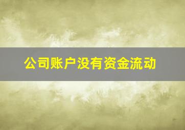 公司账户没有资金流动