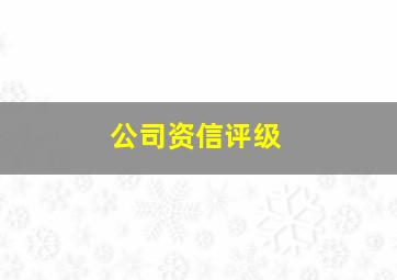 公司资信评级