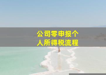 公司零申报个人所得税流程