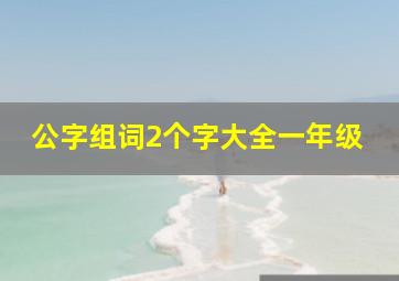 公字组词2个字大全一年级