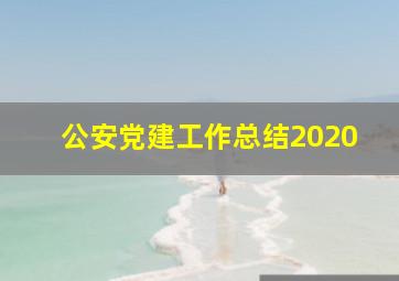 公安党建工作总结2020