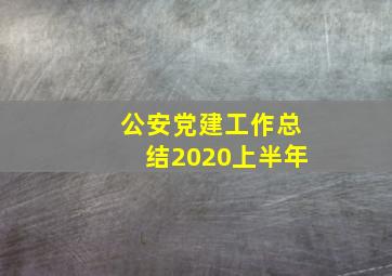 公安党建工作总结2020上半年