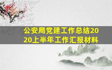 公安局党建工作总结2020上半年工作汇报材料