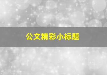 公文精彩小标题