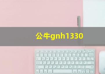 公牛gnh1330