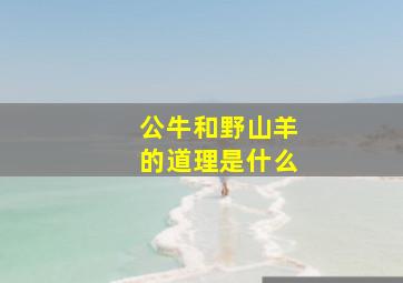 公牛和野山羊的道理是什么