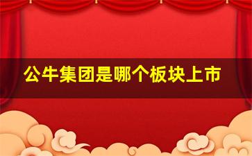 公牛集团是哪个板块上市