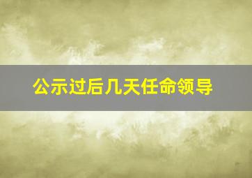 公示过后几天任命领导