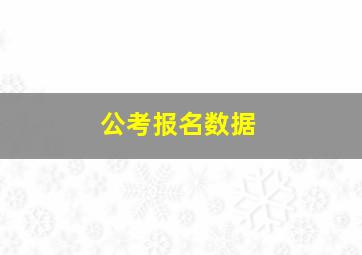 公考报名数据