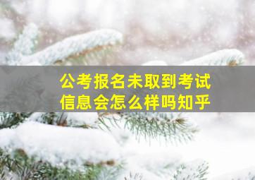 公考报名未取到考试信息会怎么样吗知乎