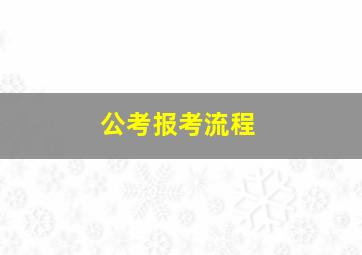 公考报考流程