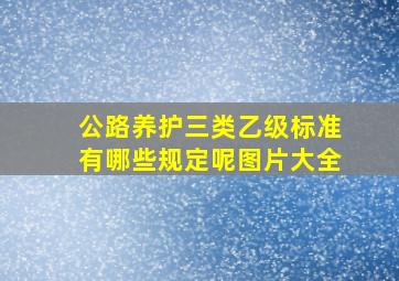 公路养护三类乙级标准有哪些规定呢图片大全