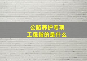 公路养护专项工程指的是什么