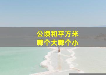 公顷和平方米哪个大哪个小