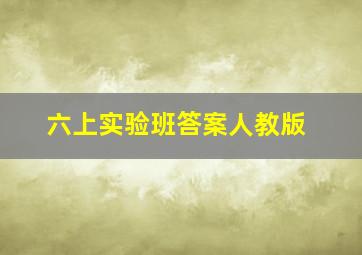 六上实验班答案人教版