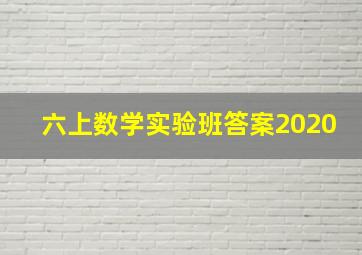 六上数学实验班答案2020