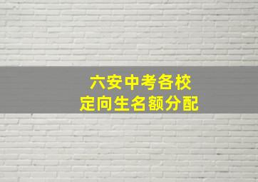 六安中考各校定向生名额分配