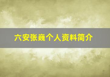 六安张巍个人资料简介