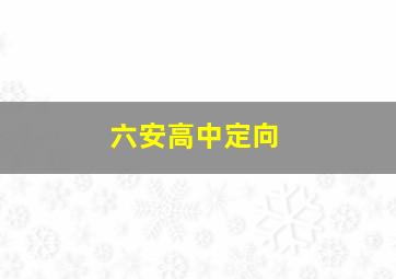 六安高中定向