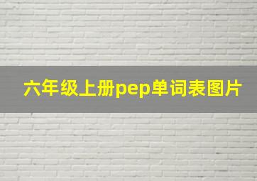 六年级上册pep单词表图片