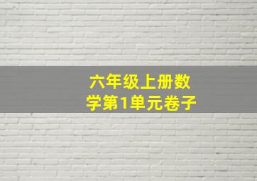 六年级上册数学第1单元卷子