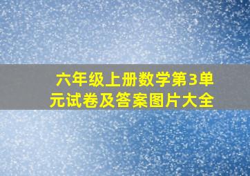 六年级上册数学第3单元试卷及答案图片大全