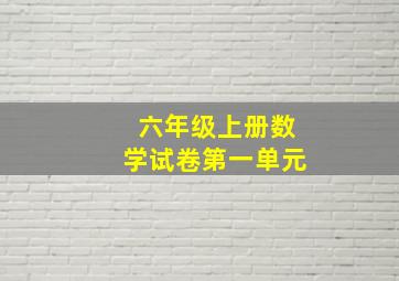 六年级上册数学试卷第一单元