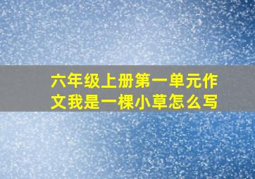 六年级上册第一单元作文我是一棵小草怎么写