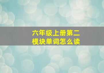 六年级上册第二模块单词怎么读