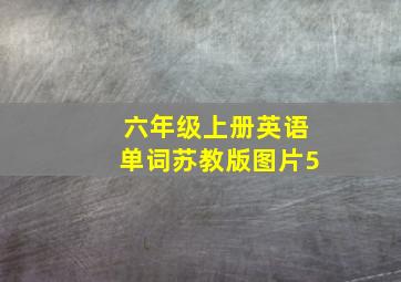 六年级上册英语单词苏教版图片5