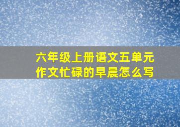 六年级上册语文五单元作文忙碌的早晨怎么写