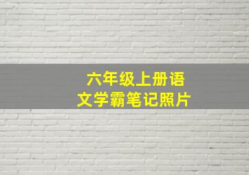 六年级上册语文学霸笔记照片