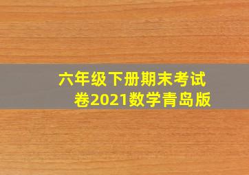 六年级下册期末考试卷2021数学青岛版