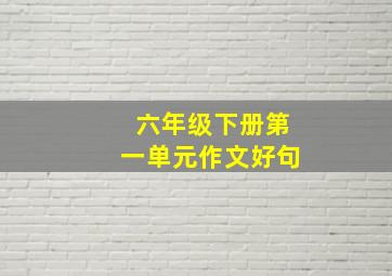 六年级下册第一单元作文好句