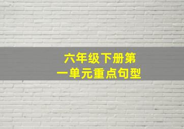 六年级下册第一单元重点句型