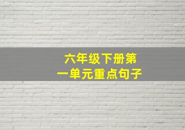 六年级下册第一单元重点句子