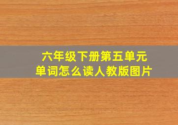 六年级下册第五单元单词怎么读人教版图片