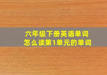 六年级下册英语单词怎么读第1单元的单词