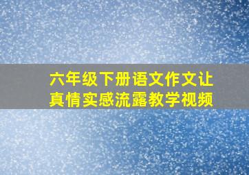 六年级下册语文作文让真情实感流露教学视频