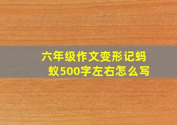 六年级作文变形记蚂蚁500字左右怎么写