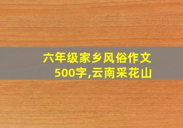 六年级家乡风俗作文500字,云南采花山