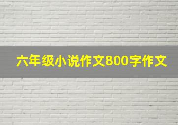 六年级小说作文800字作文