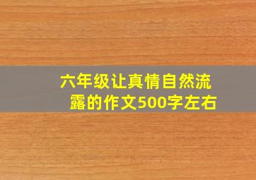 六年级让真情自然流露的作文500字左右