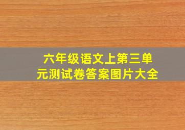 六年级语文上第三单元测试卷答案图片大全