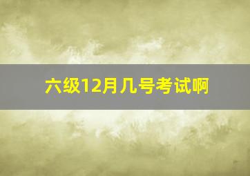 六级12月几号考试啊