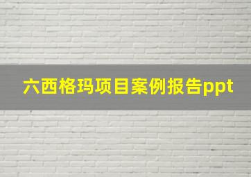 六西格玛项目案例报告ppt