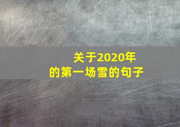 关于2020年的第一场雪的句子