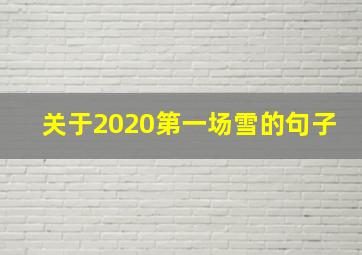 关于2020第一场雪的句子