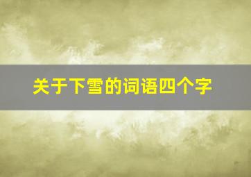 关于下雪的词语四个字